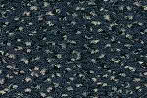 Ковролин Balsan Zenith Roll 950 фото  | FLOORDEALER